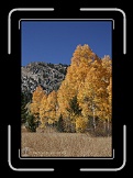 HopeValley 069 * 1152 x 1728 * (1.72MB)